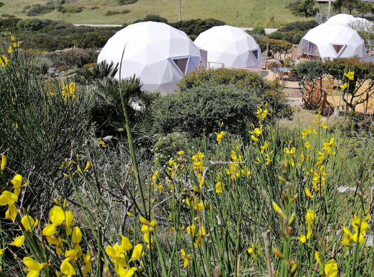 B&B Glamping Semaforo Capo Sperone SantʼAntìoco Exteriör bild