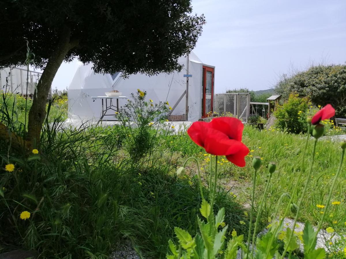B&B Glamping Semaforo Capo Sperone SantʼAntìoco Exteriör bild