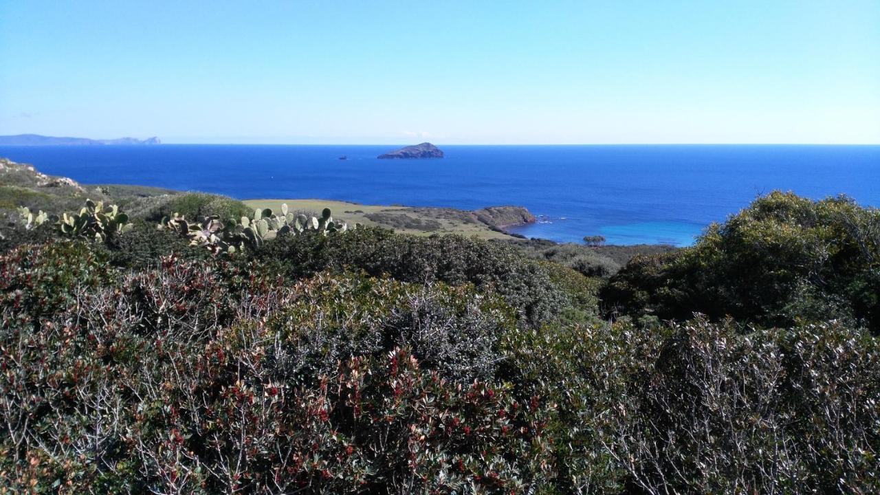 B&B Glamping Semaforo Capo Sperone SantʼAntìoco Exteriör bild