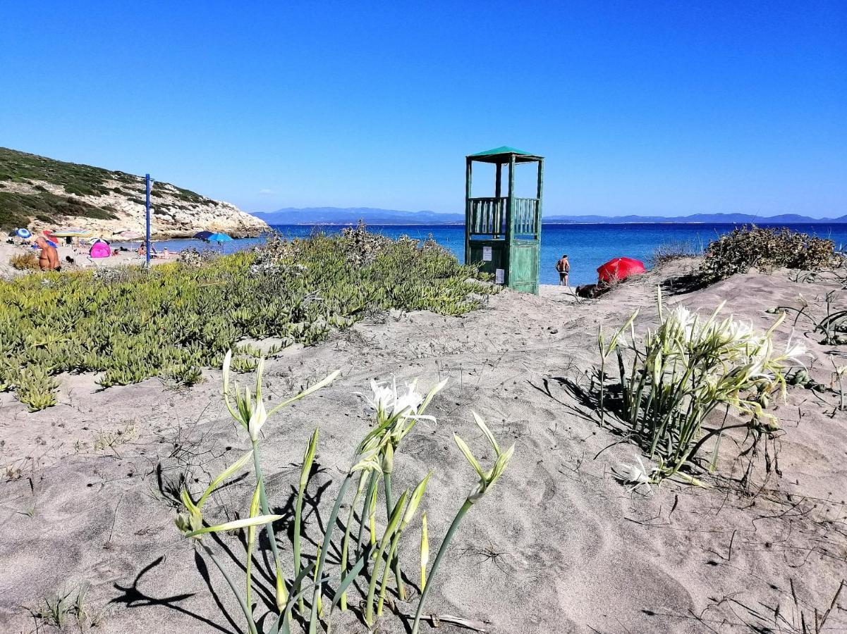 B&B Glamping Semaforo Capo Sperone SantʼAntìoco Exteriör bild