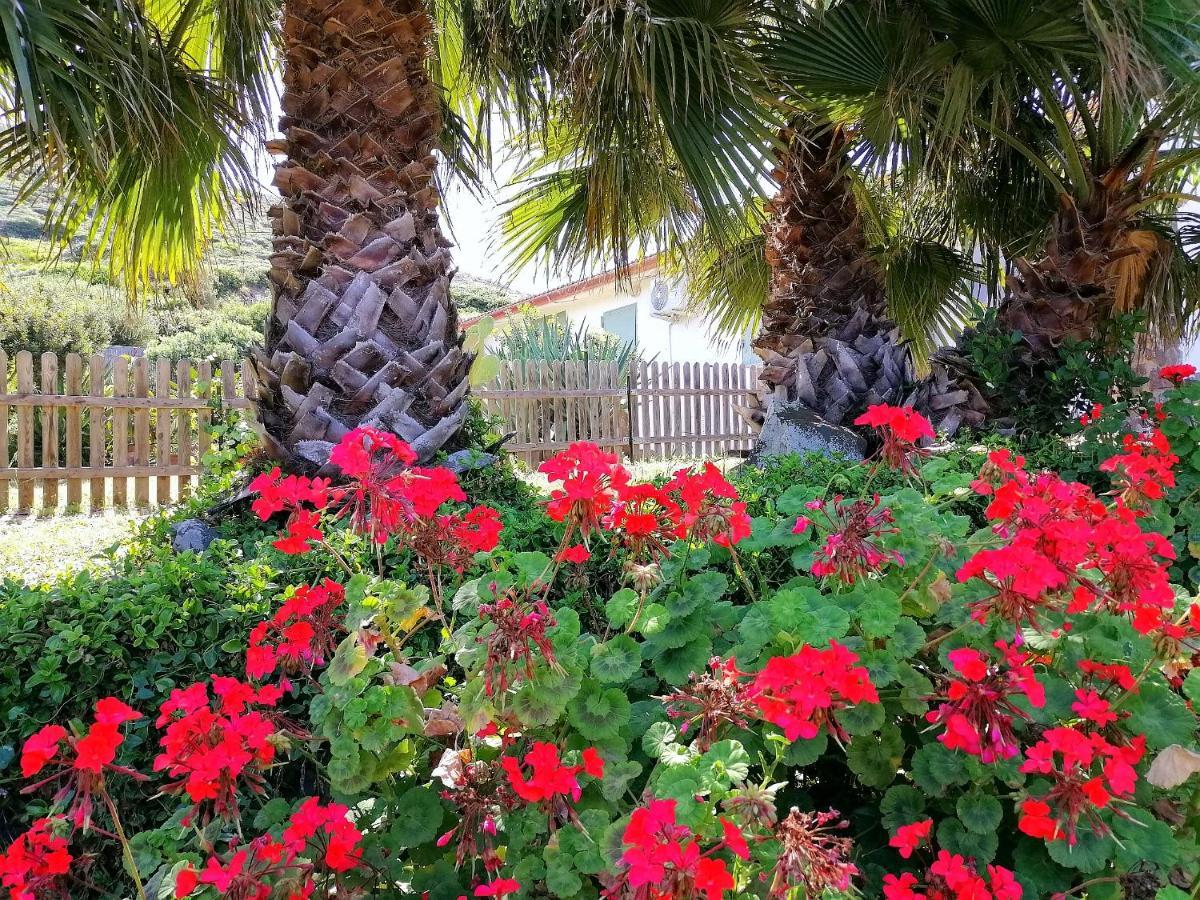 B&B Glamping Semaforo Capo Sperone SantʼAntìoco Exteriör bild