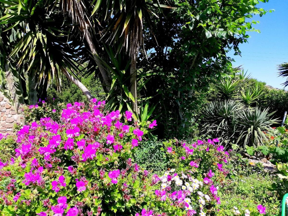 B&B Glamping Semaforo Capo Sperone SantʼAntìoco Exteriör bild